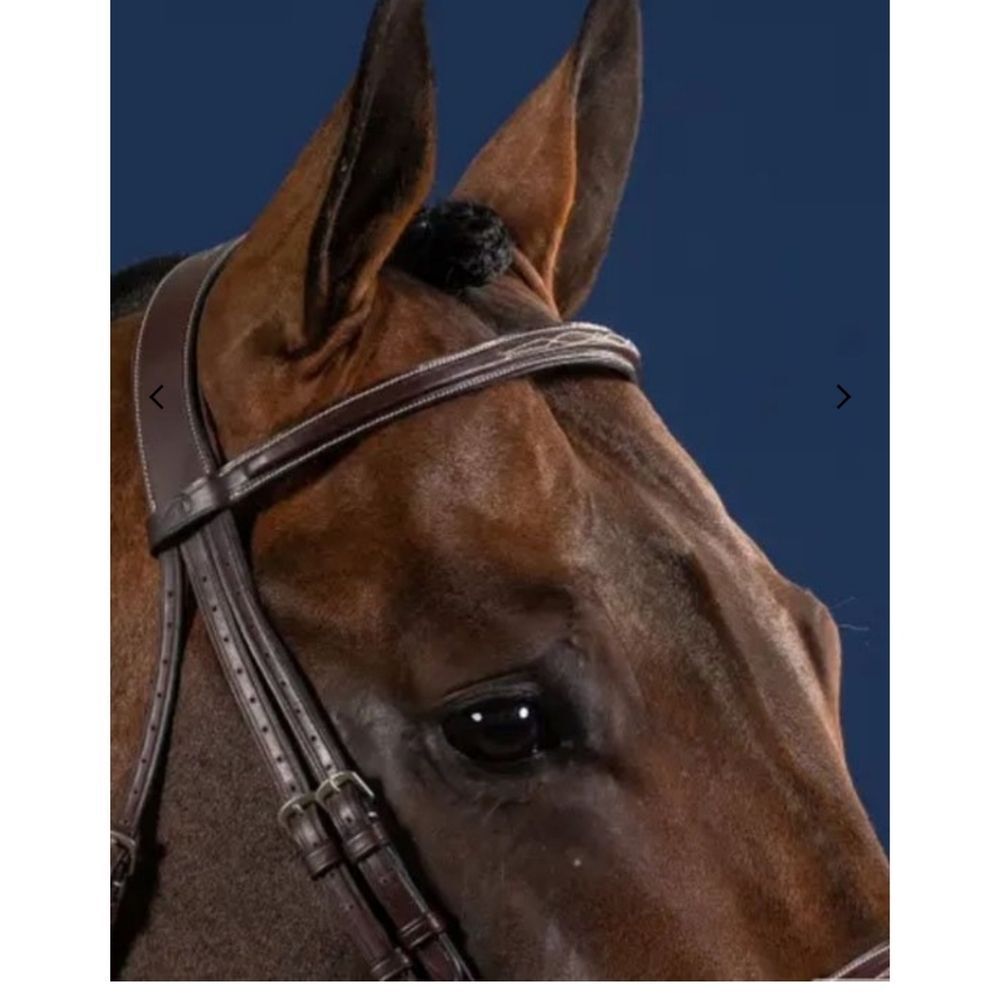 NWT Dy'on Fancy Stitched Cavesson Hunter Noseband Bridle In Brown - Picture 3 of 11